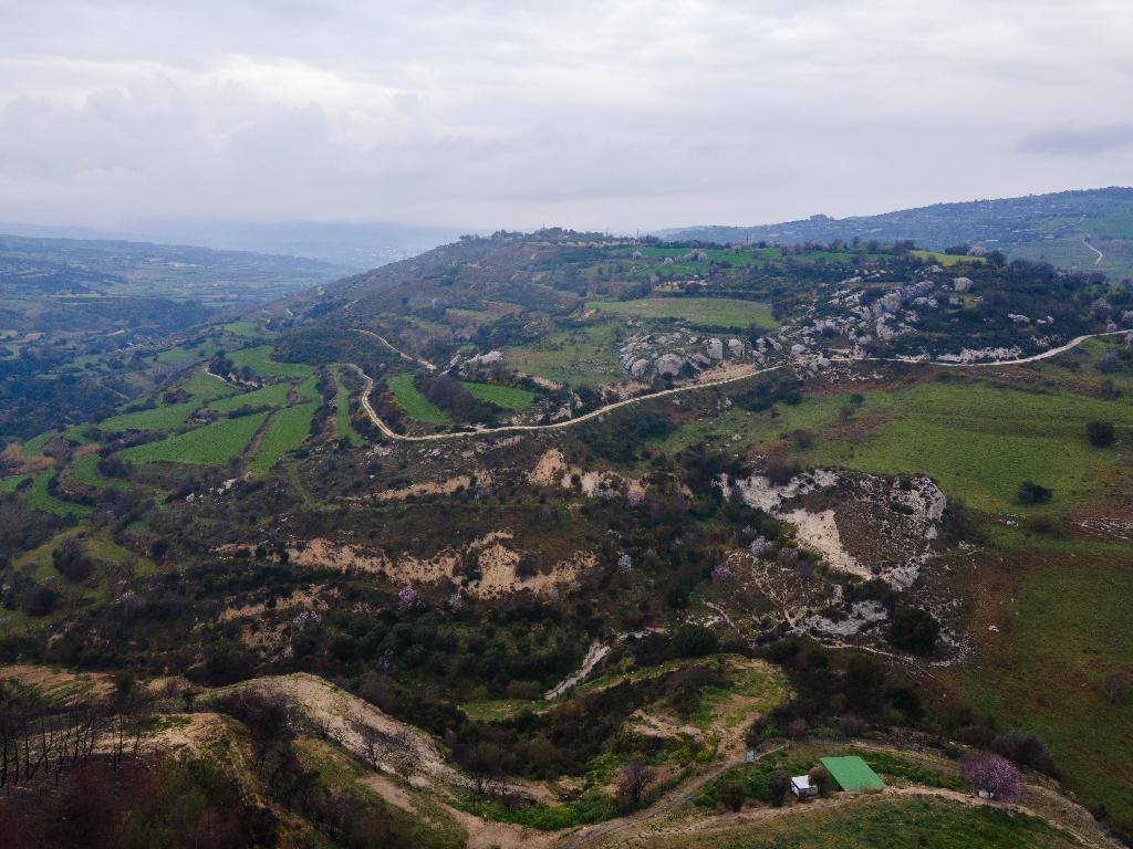 Field - Psathi, Paphos