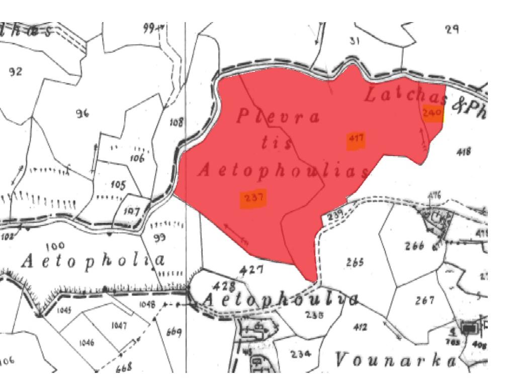 Field - Psathi, Paphos-Psathi