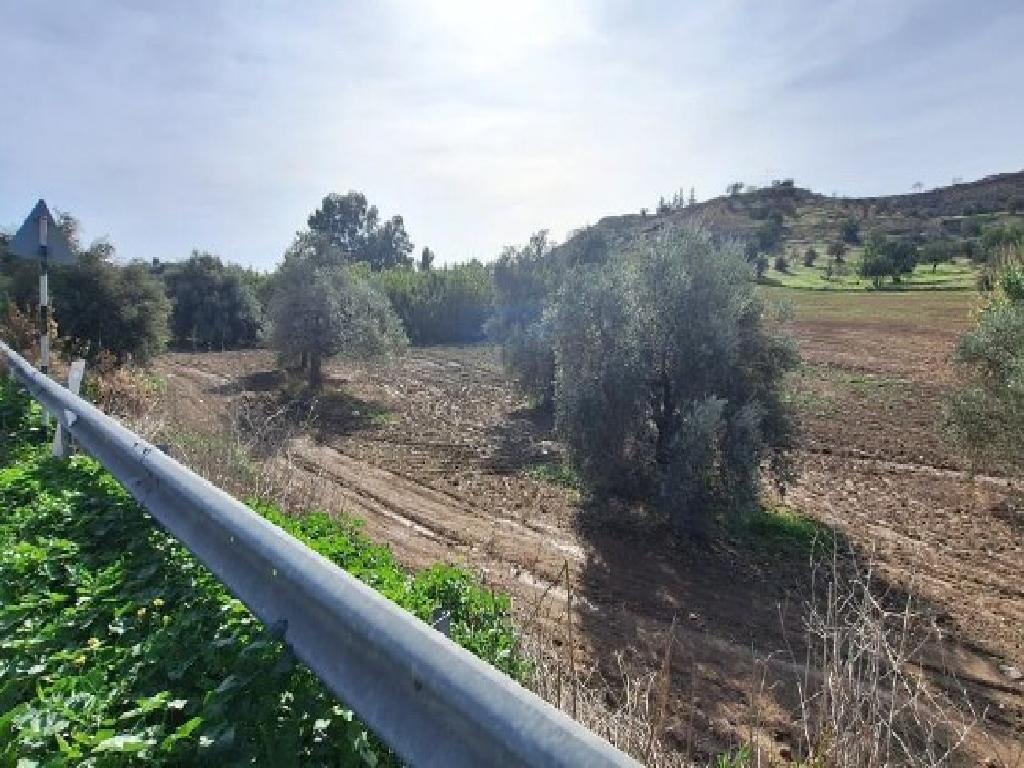 Χωράφια (Μερίδια) - Τρούλλοι, Λάρνακα-Τρούλλοι