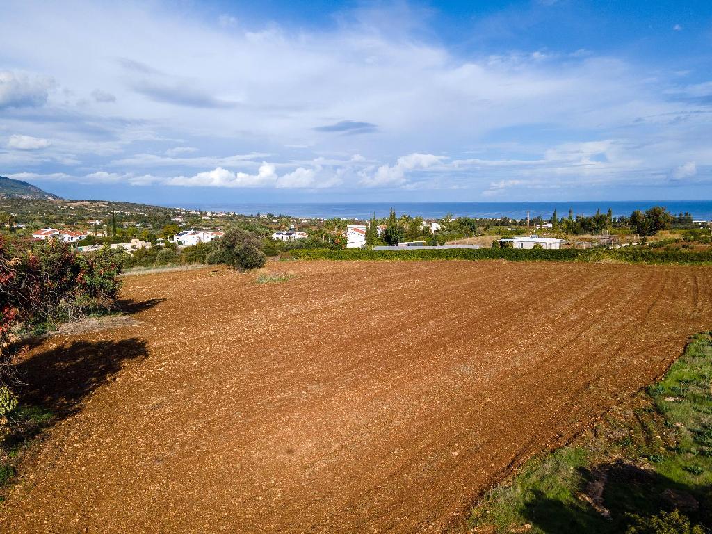 Field (Share) - Neo Chorio, Paphos-New Chorio