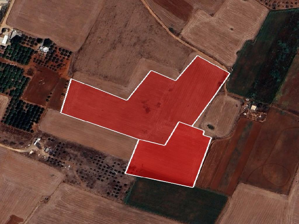 Field (Share) - Avgorou, Famagusta-Avgorou