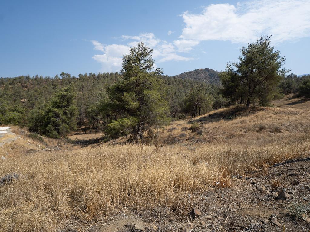 Fields - Evrichou, Nicosia