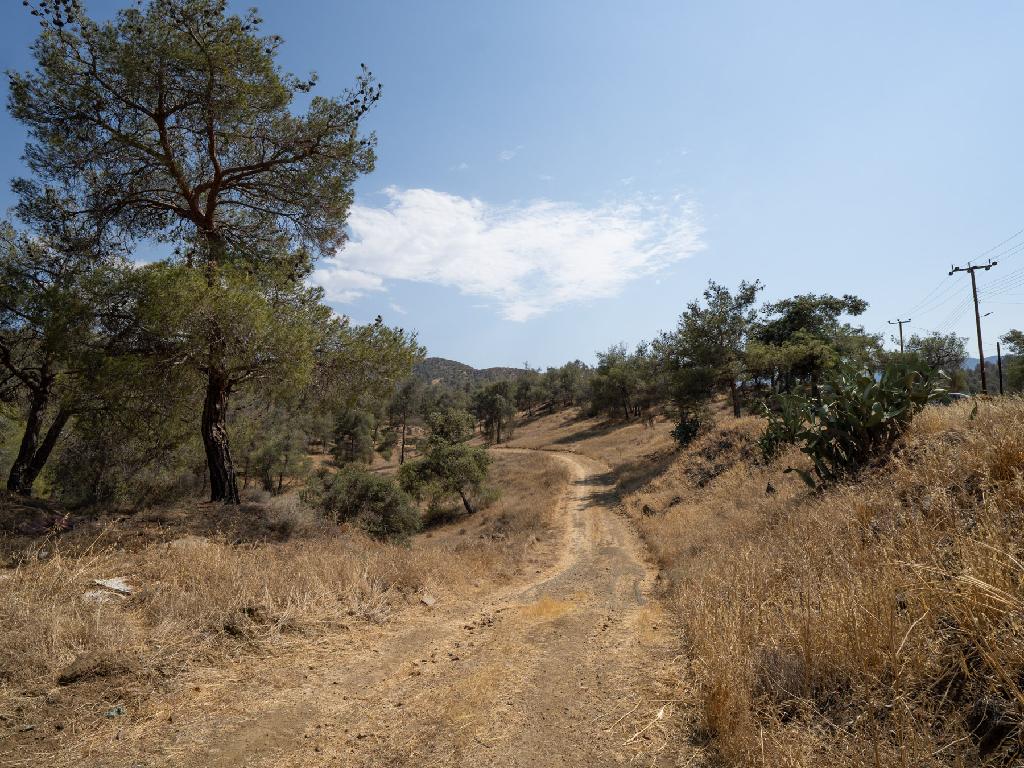 Fields - Evrichou, Nicosia