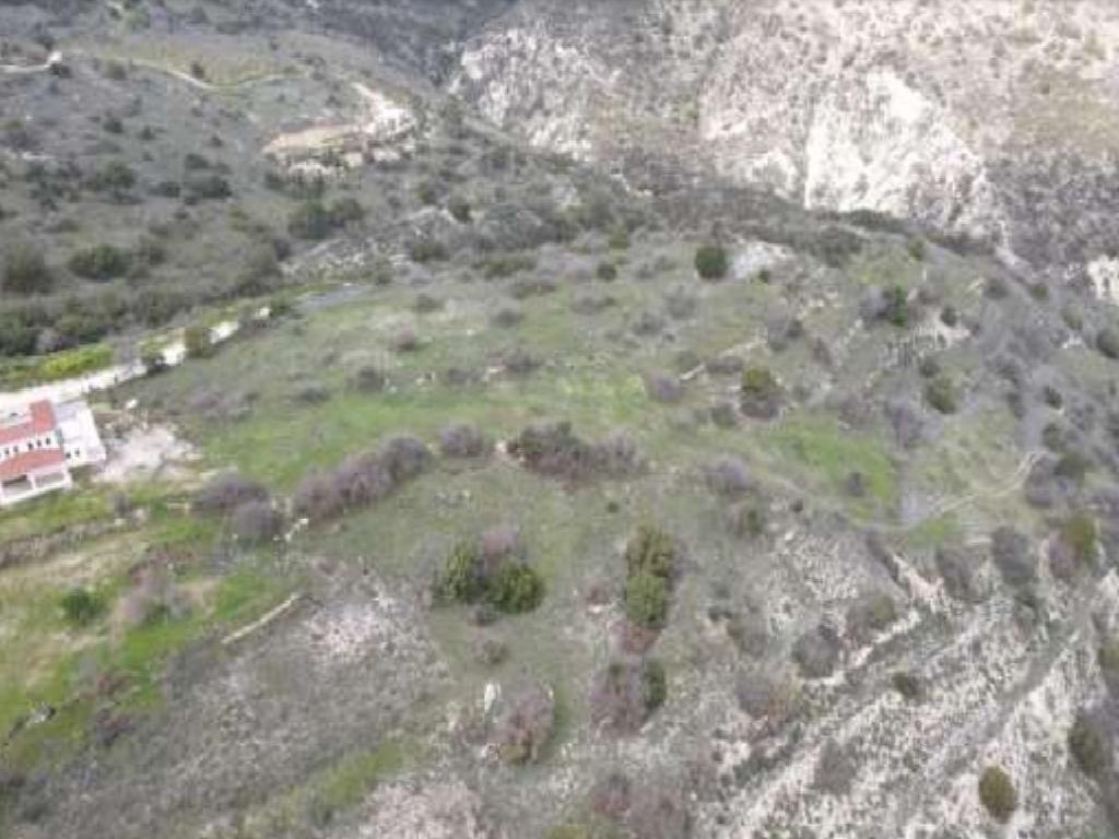 Field - Episkopi, Paphos-Episkopi