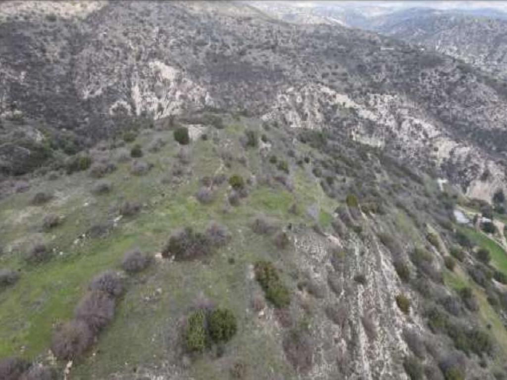 Field - Episkopi, Paphos-Episkopi