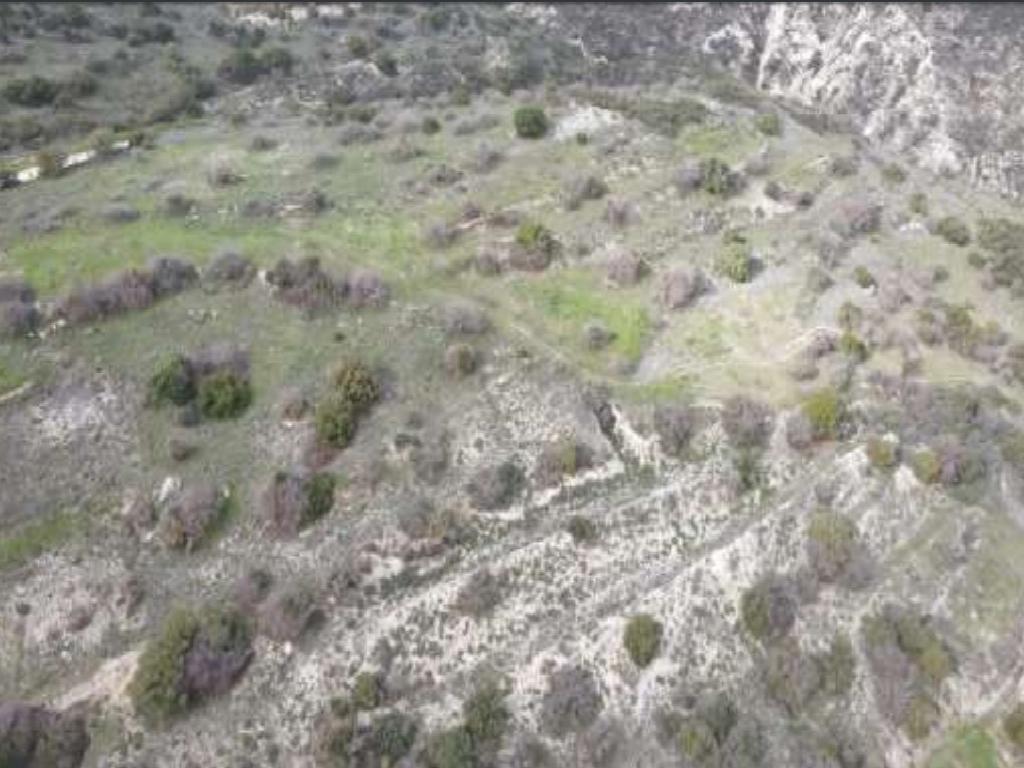 Field - Episkopi, Paphos-Episkopi