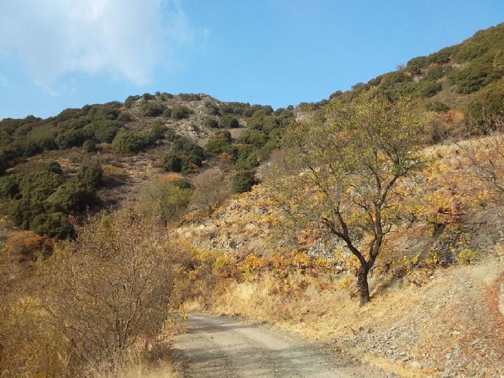 Field - Agros, Limassol-Agros