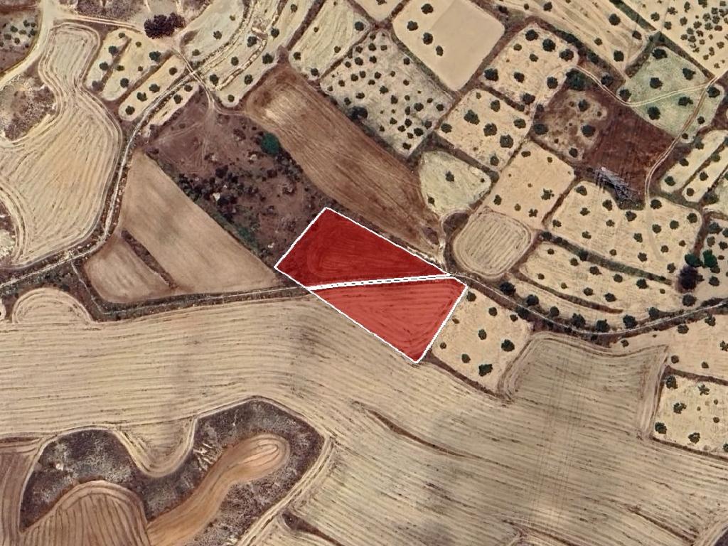 Field - Tseri, Nicosia-Tseri