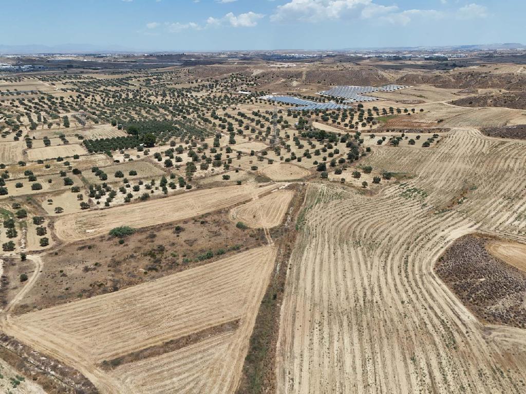 Field - Tseri, Nicosia-Tseri