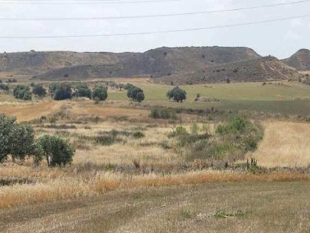 Field - Tseri, Nicosia-Tseri