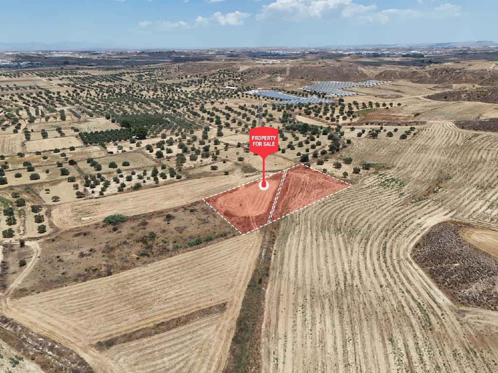 Field - Tseri, Nicosia-Tseri