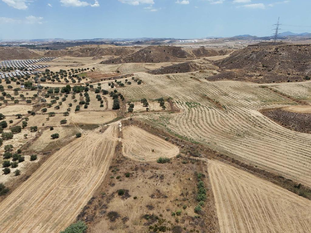 Field - Tseri, Nicosia-Tseri