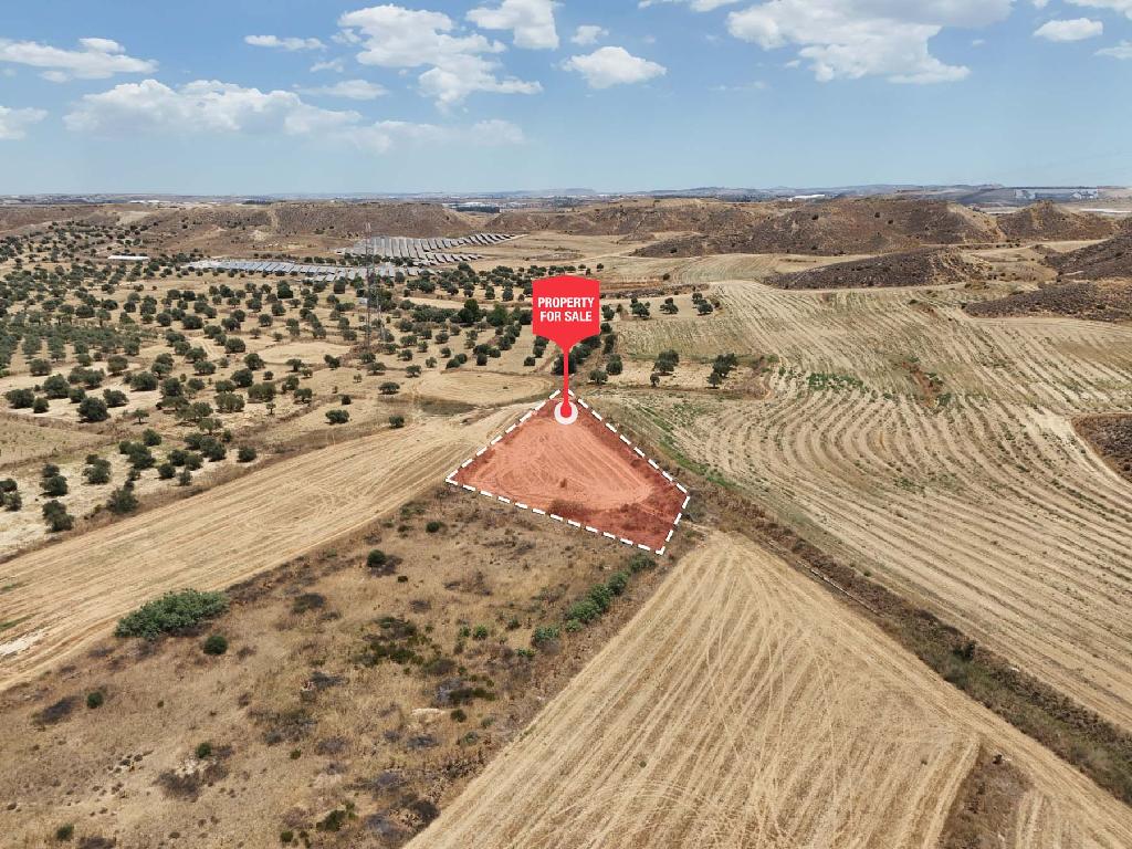 Field - Tseri, Nicosia-Tseri