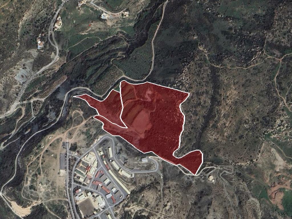 Field - Pegeia, Paphos-Pegeia