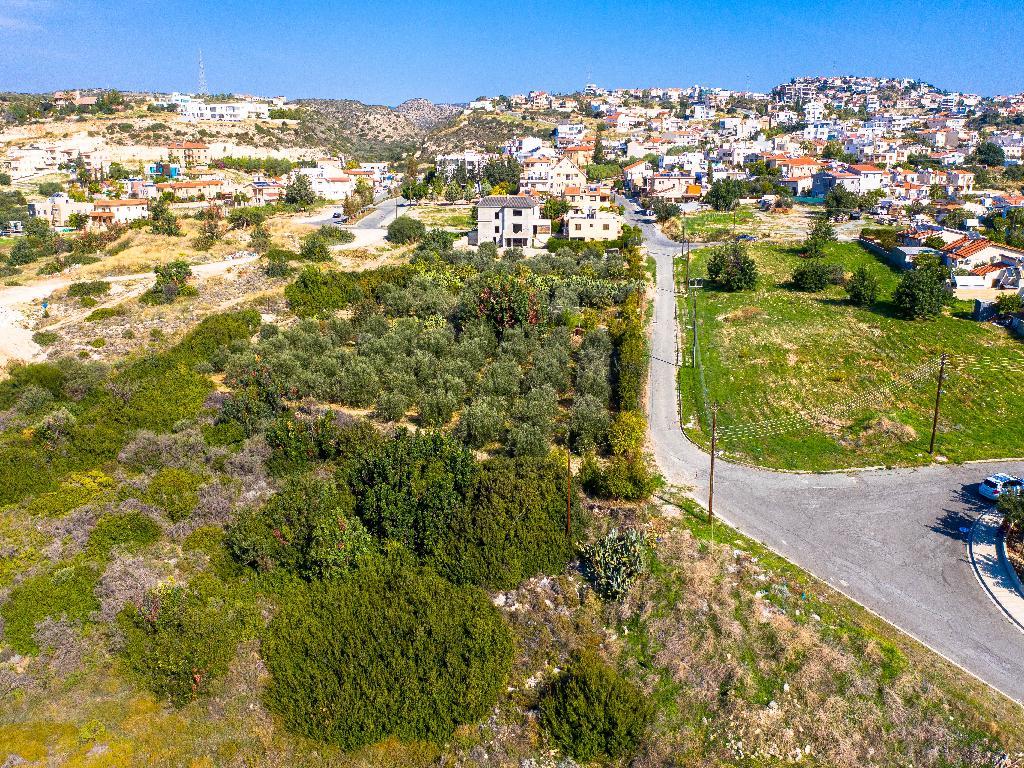 Field - Agia Fylaksi, Limassol-Limassol Municipality