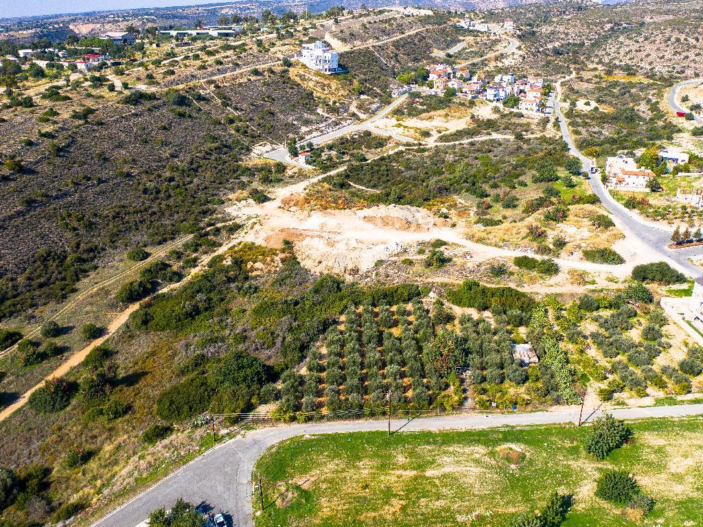 Field - Agia Fylaksi, Limassol-Limassol Municipality