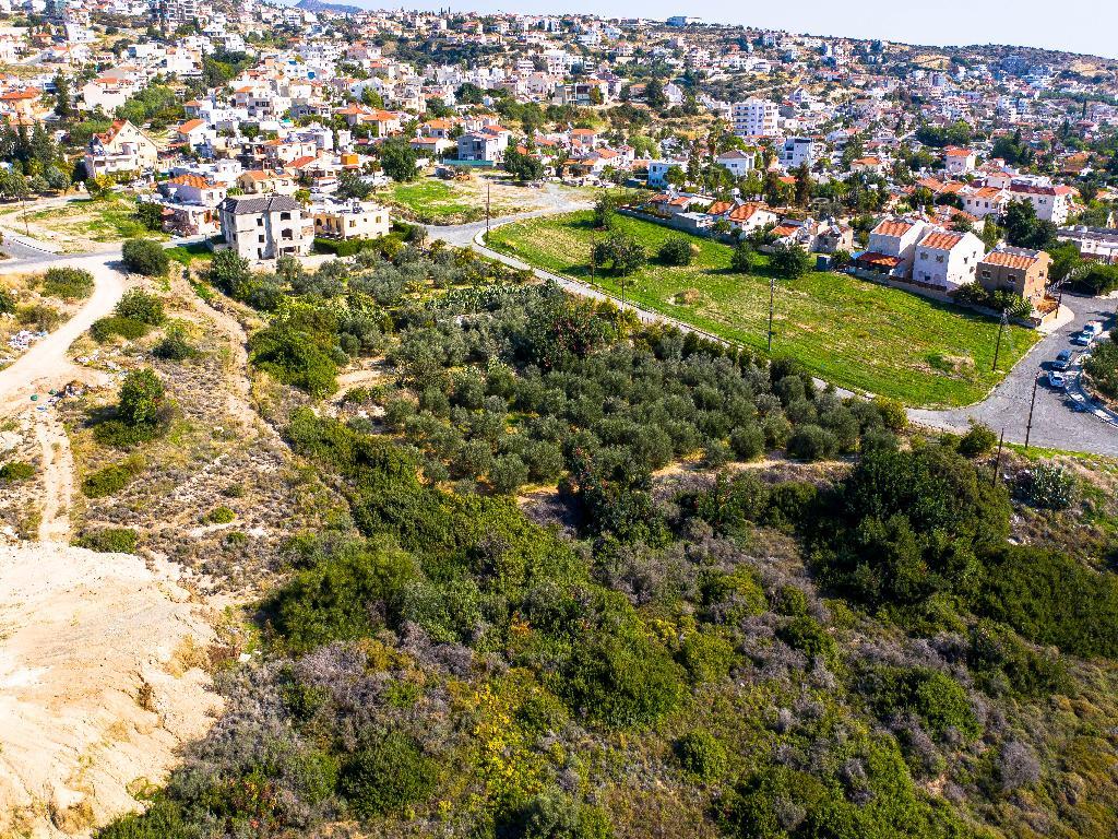 Field - Agia Fylaksi, Limassol
