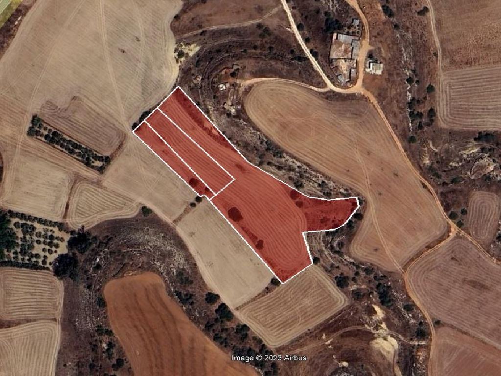 Field - Avgorou, Famagusta-Avgorou