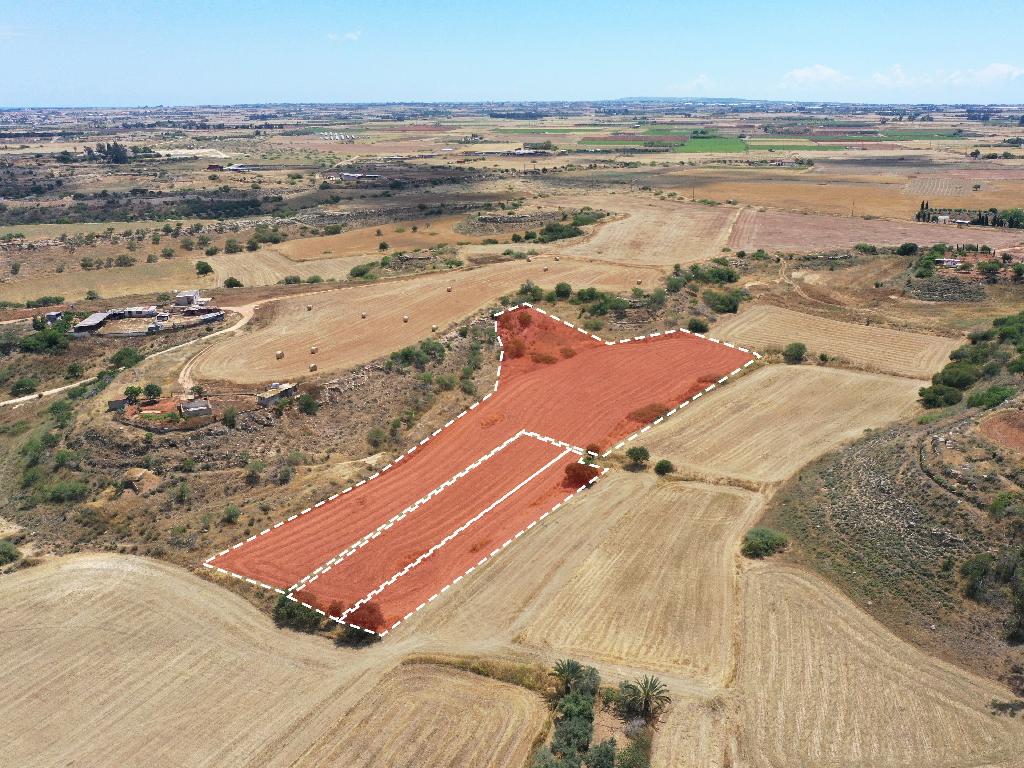 Field - Avgorou, Famagusta-Avgorou