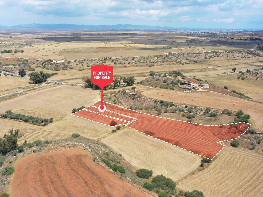 Field - Avgorou, Famagusta-Avgorou