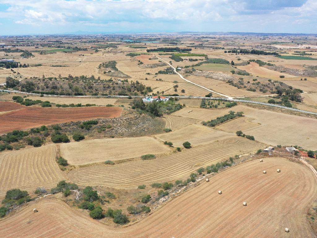 Field - Avgorou, Famagusta-Avgorou