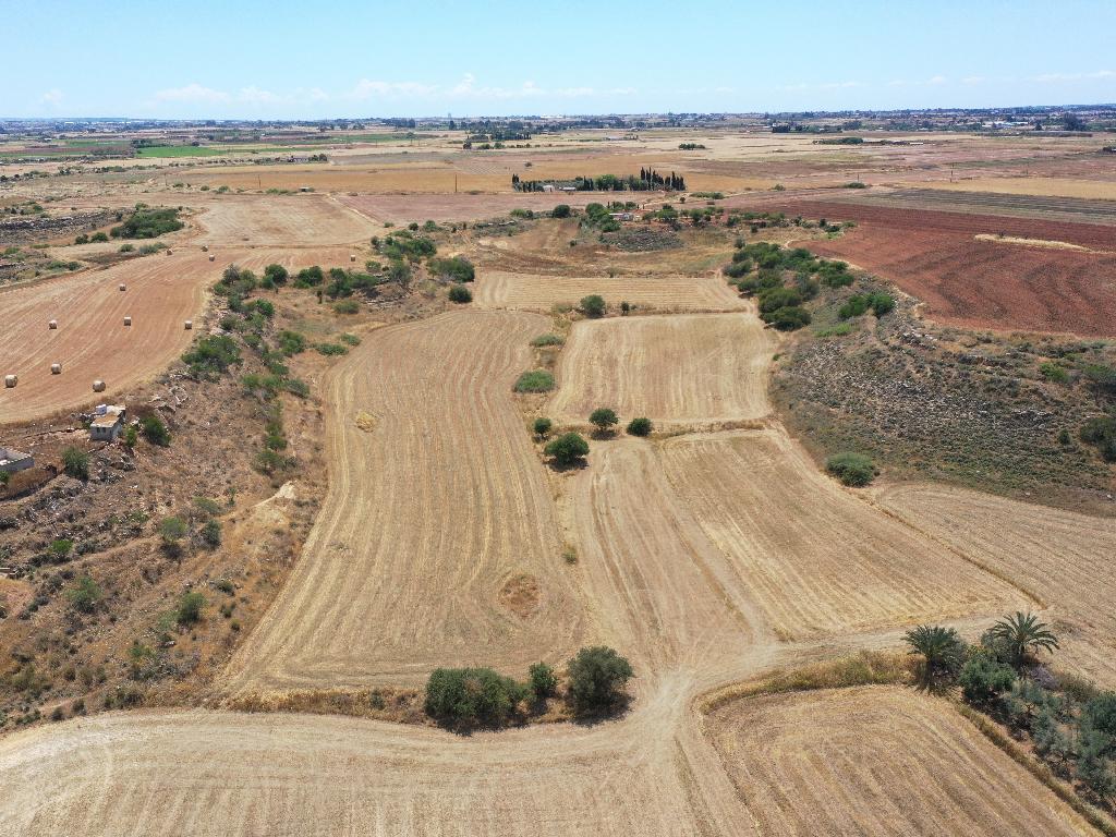 Field - Avgorou, Famagusta-Avgorou