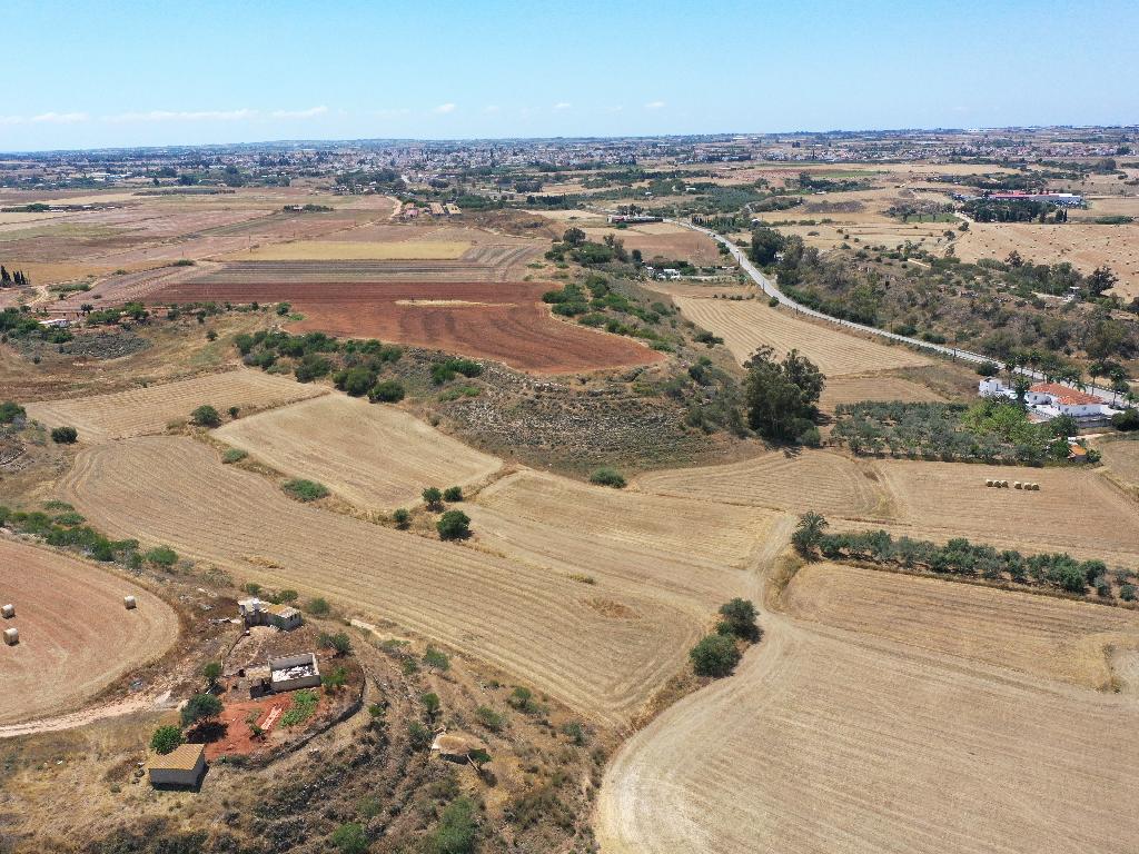 Field - Avgorou, Famagusta-Avgorou