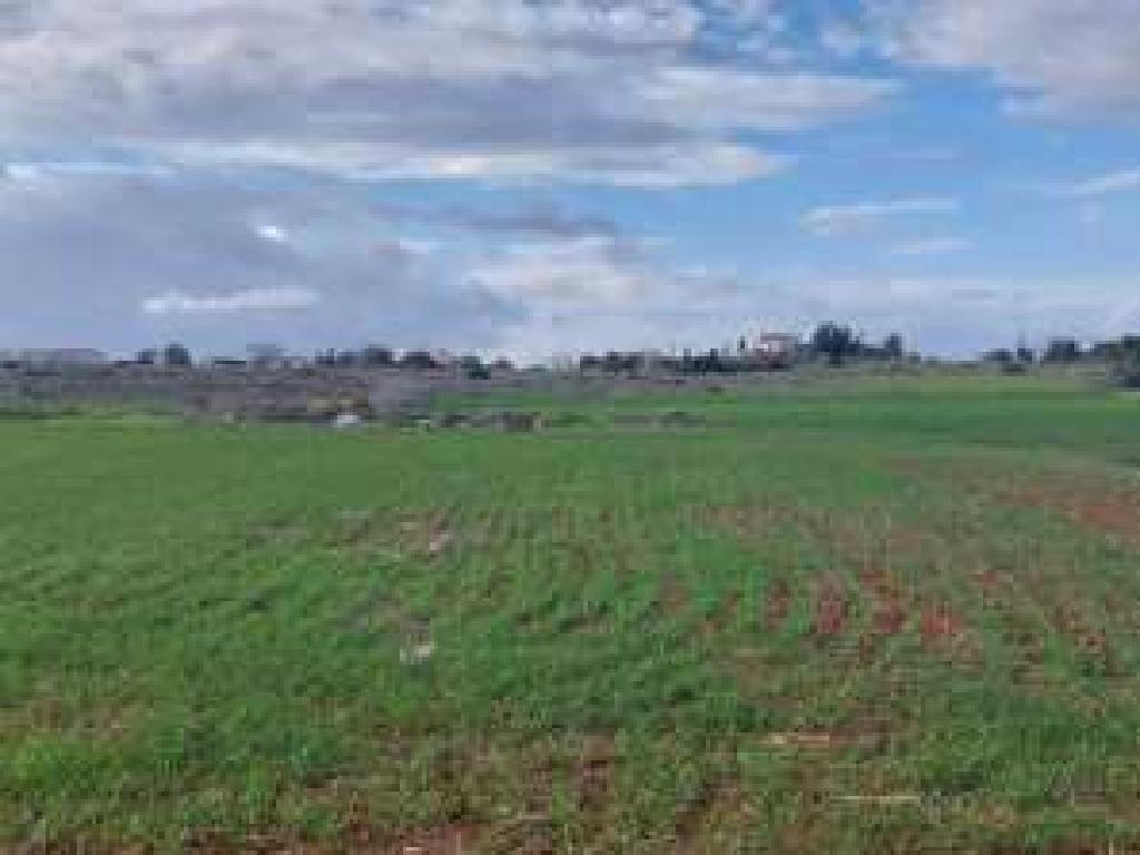 Field (Share) - Sotira, Famagusta-Sotira