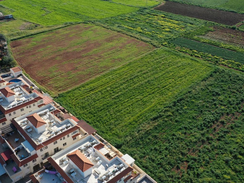 Fields (Share) - Liopetri, Famagusta-Liopetri