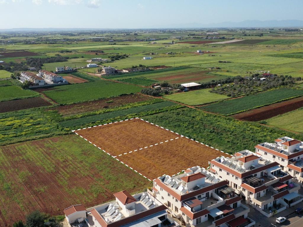 Fields (Share) - Liopetri, Famagusta-Liopetri
