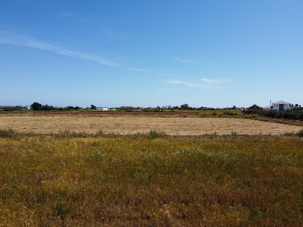 Field - Xylofagou, Larnaca-Xylofagou