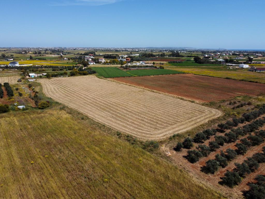 Field - Xylofagou, Larnaca-Xylofagou