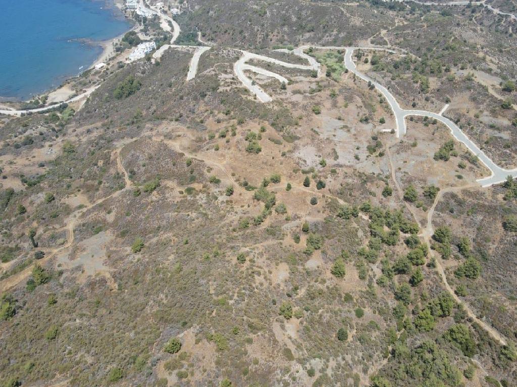 Field (Share) - Pigenia, Nicosia-Pigenia