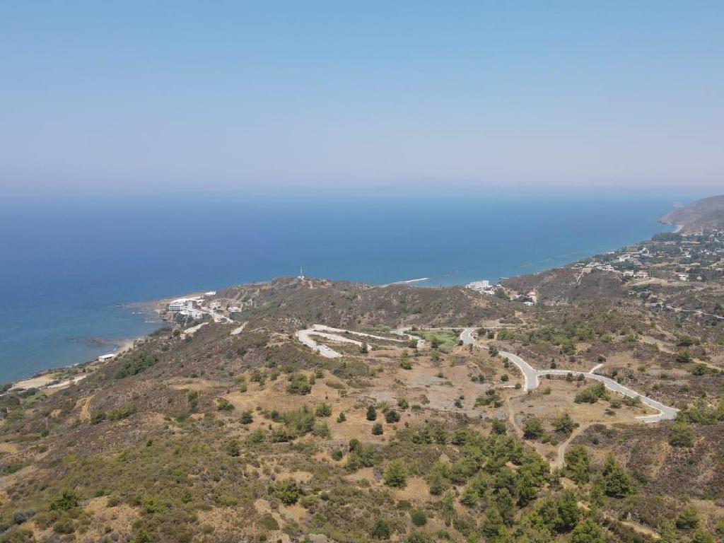 Field (Share) - Pigenia, Nicosia-Pigenia