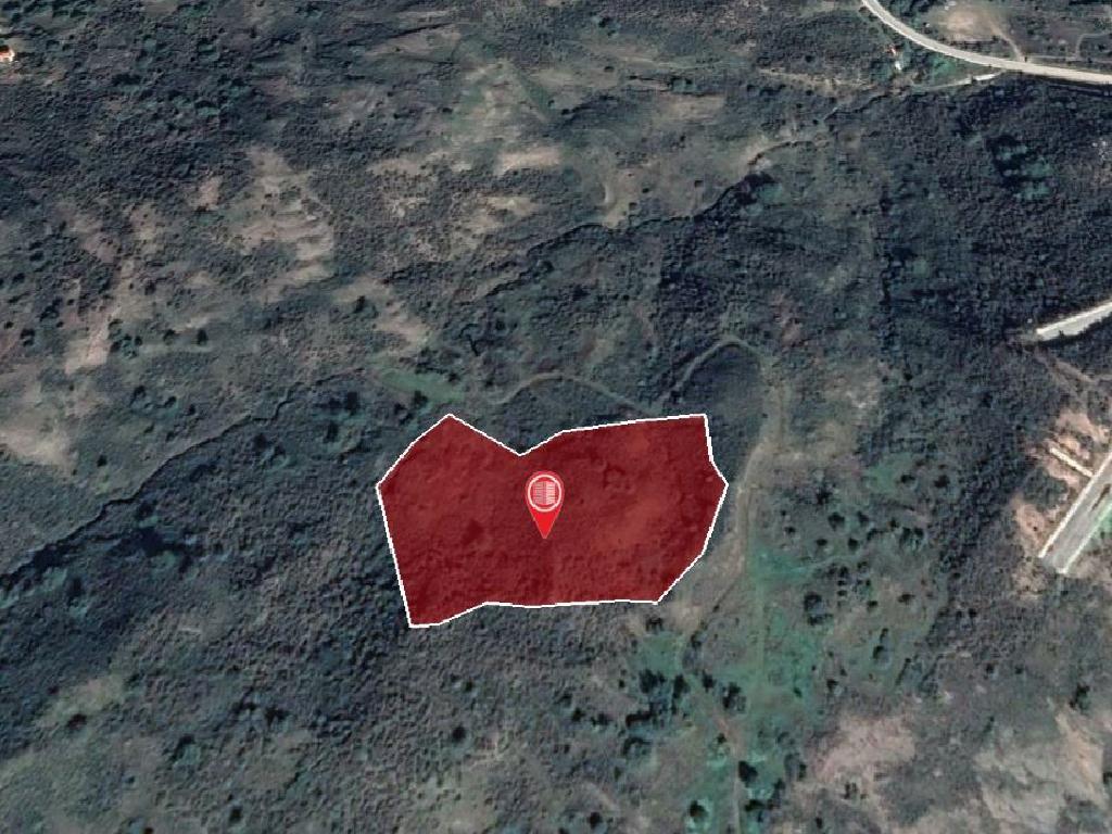 Field (Share) - Pigenia, Nicosia-Pigenia