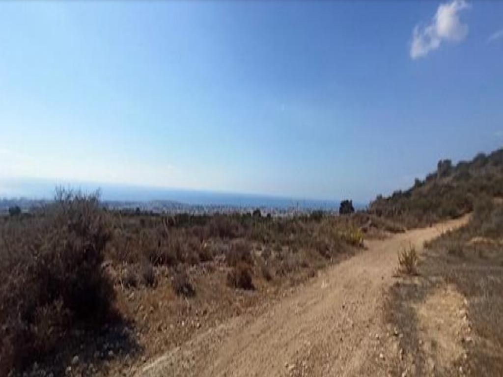 Field (Share) - Armou, Paphos-Armou