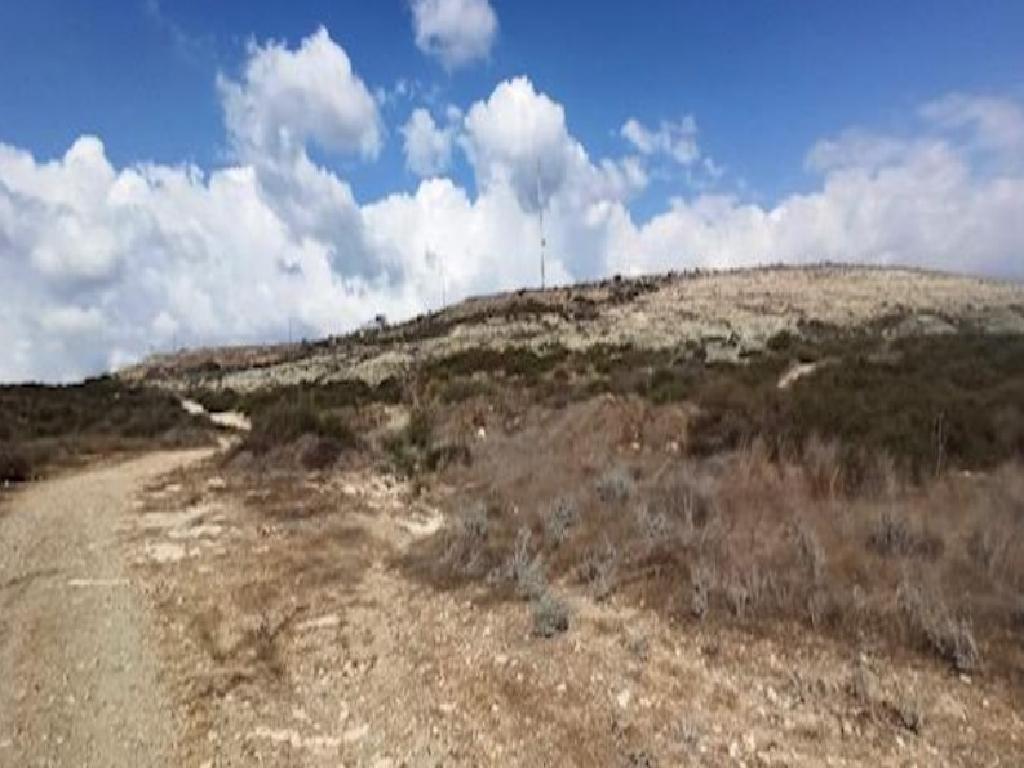 Field (Share) - Armou, Paphos-Armou