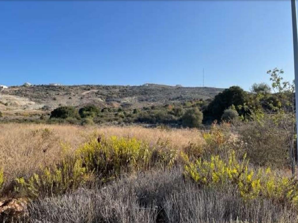 Field (Share) - Armou, Paphos-Armou