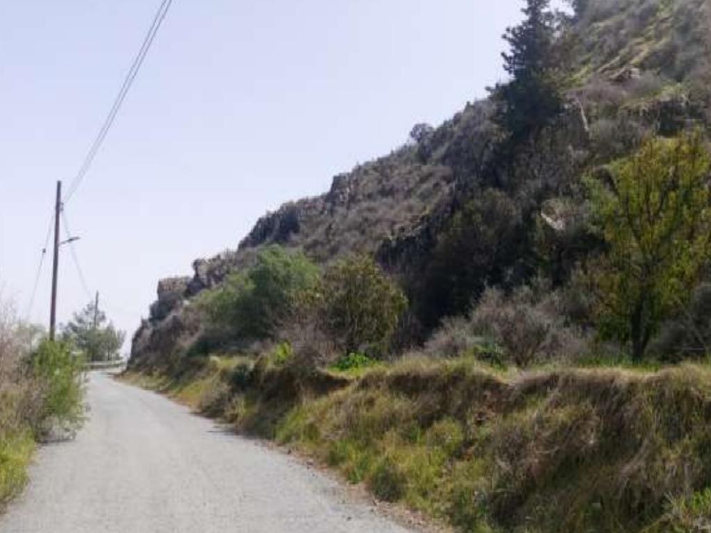 Field - Odou, Larnaca-Odou