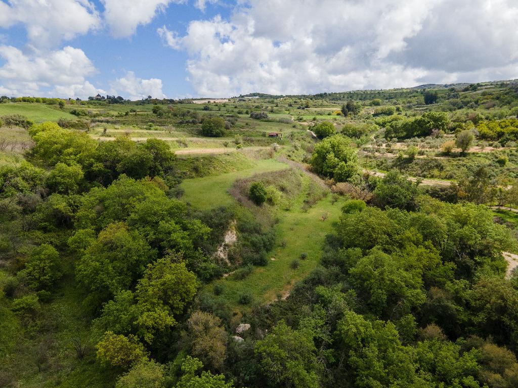 Field - Theletra, Paphos-Theletra