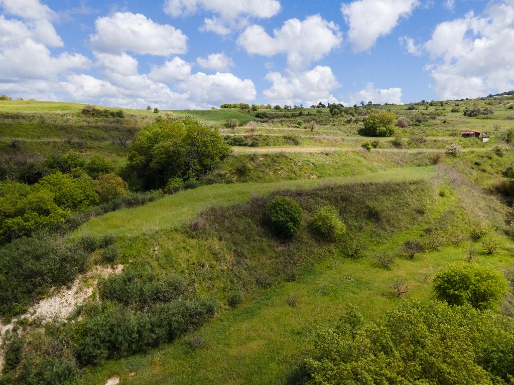 Field - Theletra, Paphos-Theletra