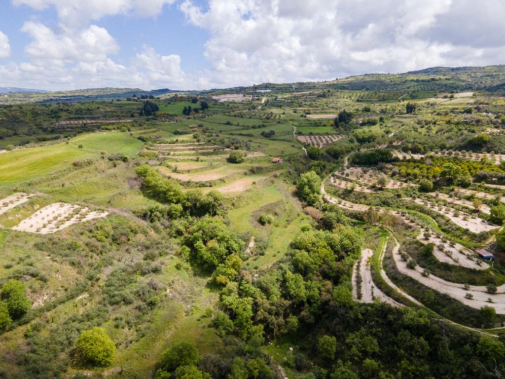 Field - Theletra, Paphos-Theletra