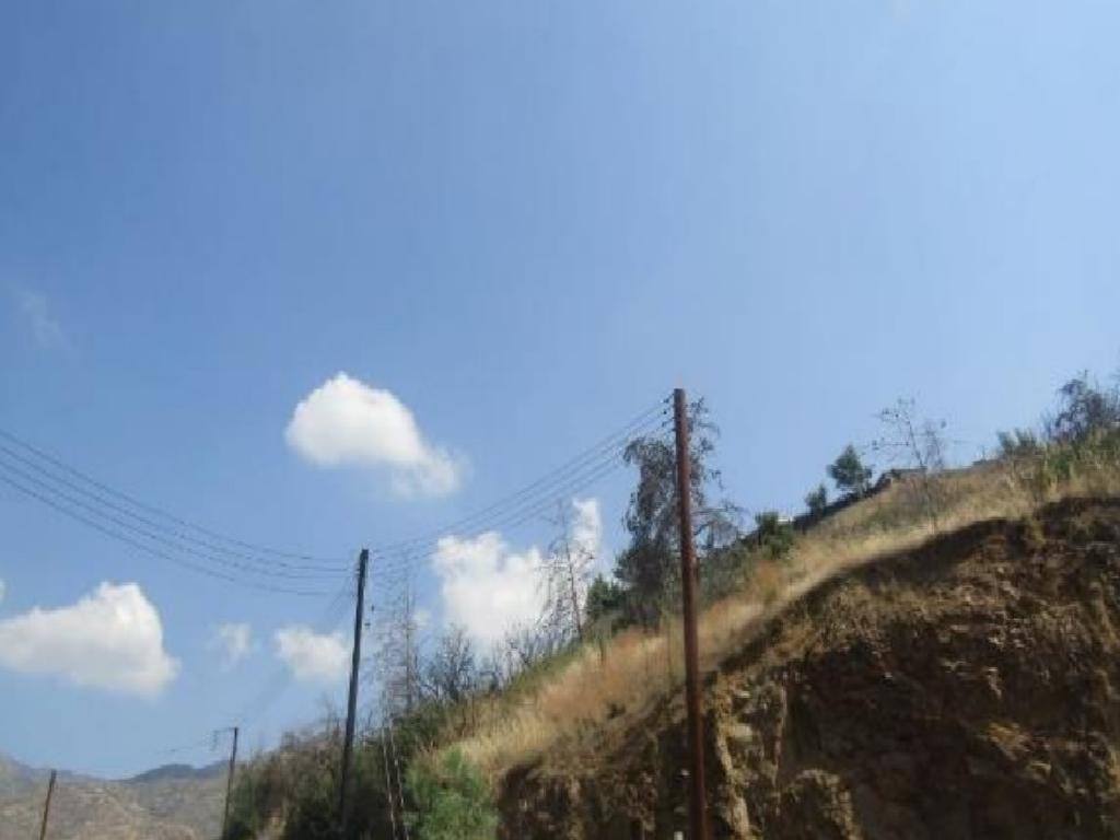 Field - Melini, Larnaca-Melini