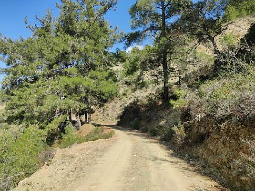 Field - Moutoula, Nicosia-Moutoullas