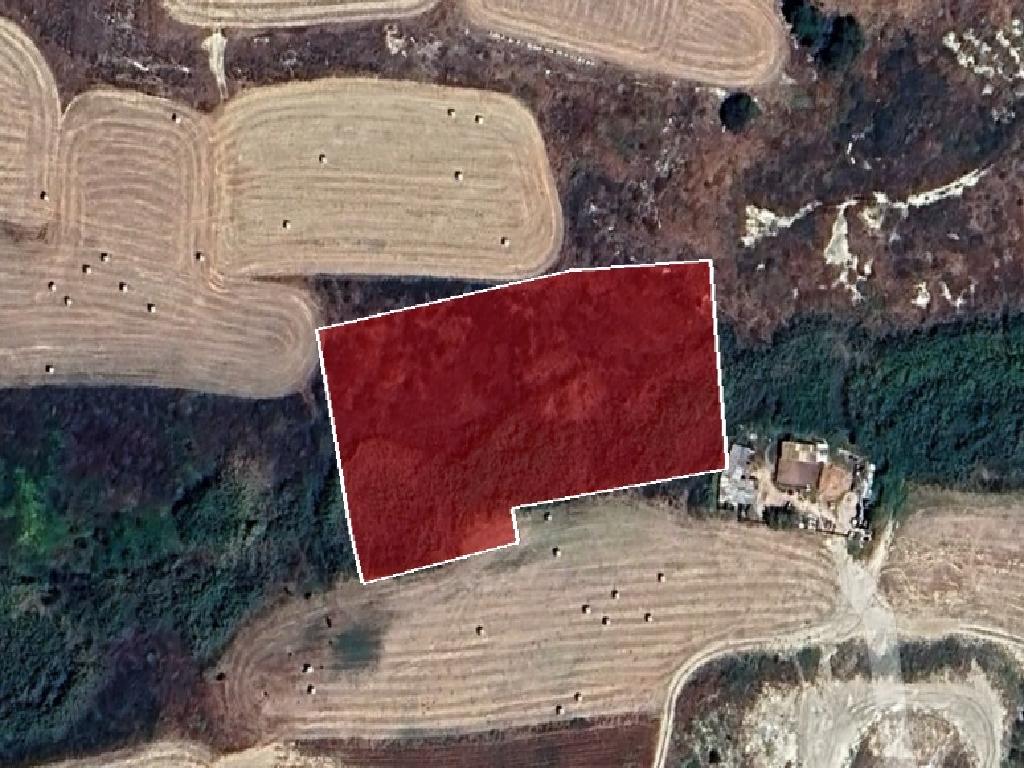 Field (Share) - Aradippou, Larnaca-Aradippou