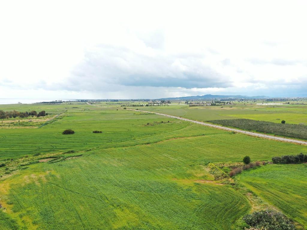 Beachfront Fields - Softades, Larnaca-Softades