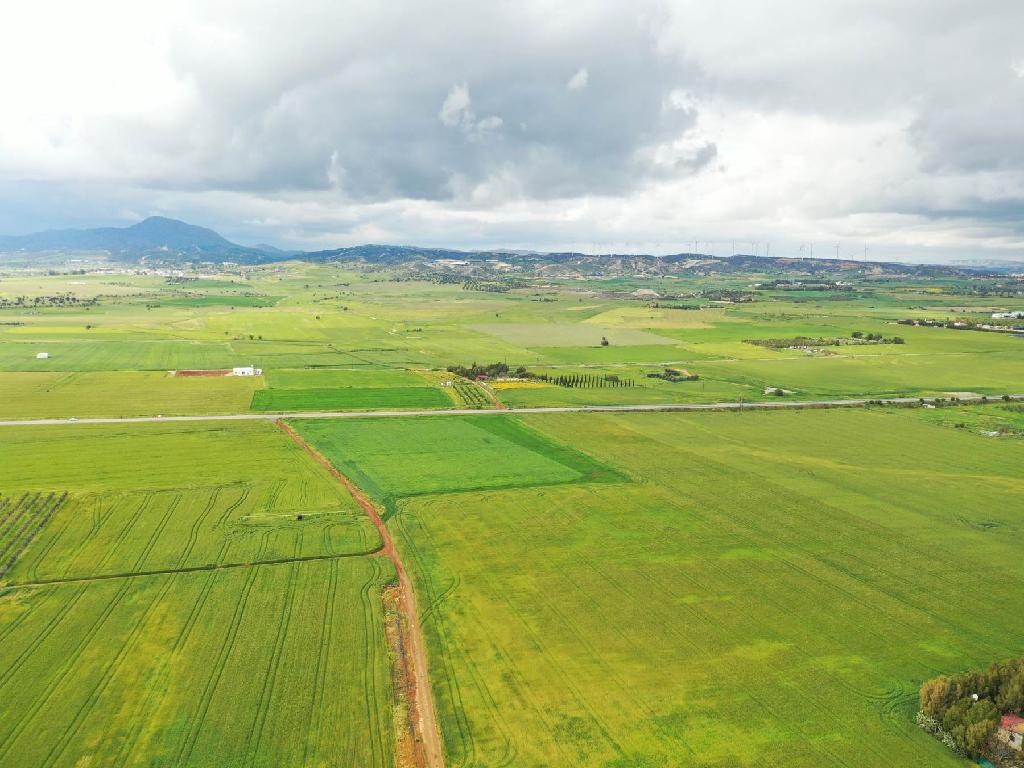 Beachfront Fields - Softades, Larnaca-Softades