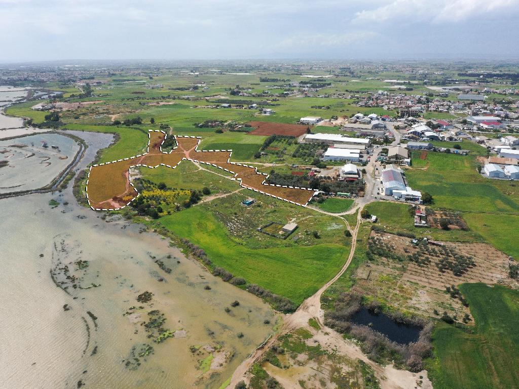 Field (Share) - Deryneia, Famagusta