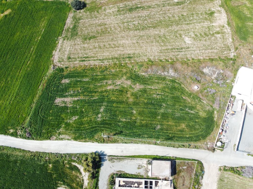 Field - Aradippou, Larnaca-Aradippou