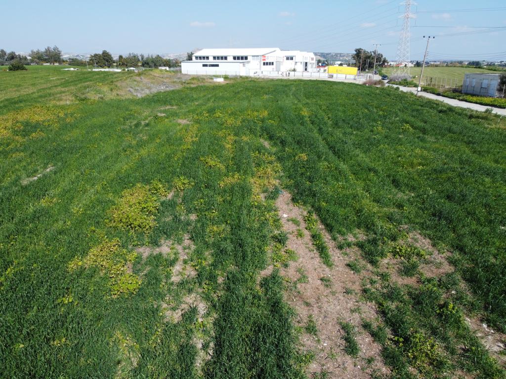 Field - Aradippou, Larnaca-Aradippou